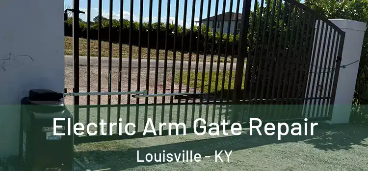 Electric Arm Gate Repair Louisville - KY
