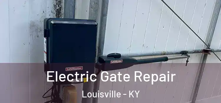 Electric Gate Repair Louisville - KY