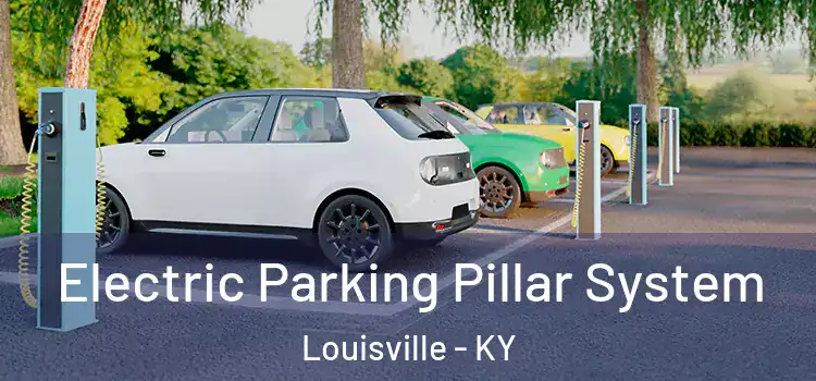 Electric Parking Pillar System Louisville - KY