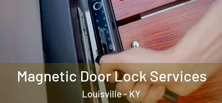 Magnetic Door Lock Services Louisville - KY